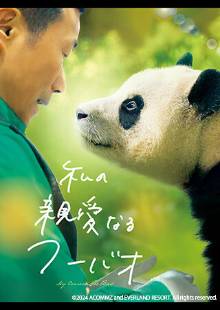 私の親愛なるフーバオ（字幕）