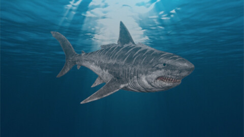 ジュラシック・シャークZ（字幕）